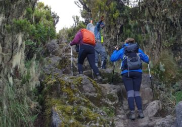 travel to Mount Kilimanjaro