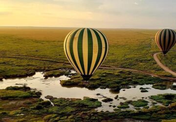 African Safari Tours Serengeti
