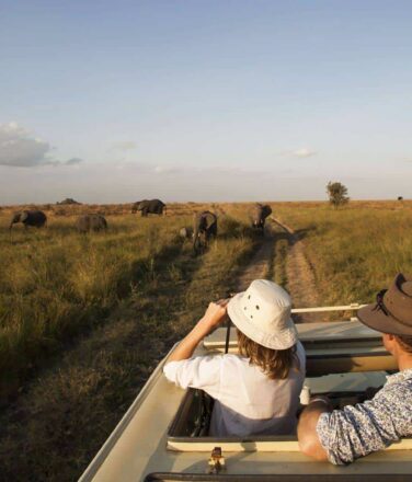 Tanzania Family Safaris