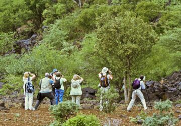 Tanzania Bird Watching Tour