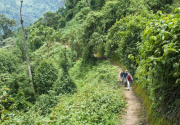 Tanzania Bird Watching Tour