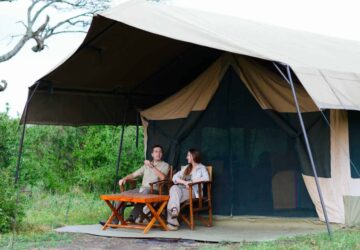 Tanzania Bird Watching Tour