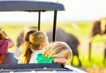 Tanzania Family Safaris