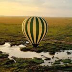 African Safari Tours Serengeti