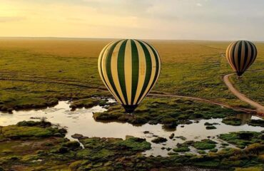 African Safari Tours Serengeti