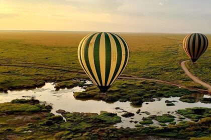 African Safari Tours Serengeti