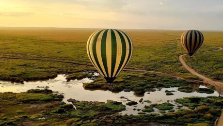 African Safari Tours Serengeti